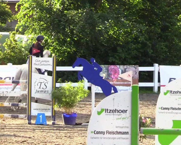 Reitturnier Mildstedt 2023