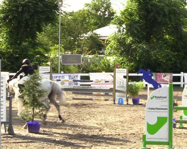 Reitturnier Mildstedt 2023