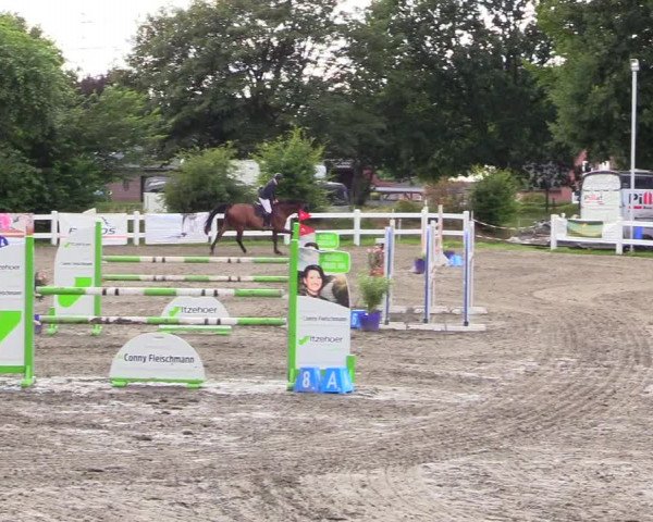 Reitturnier Mildstedt 2023