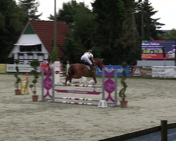 Reitturnier Vlotho-Exter 2023