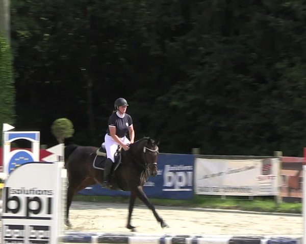 Reitturnier Vlotho-Exter 2023