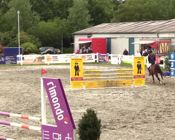 Reitturnier Mildstedt 2023