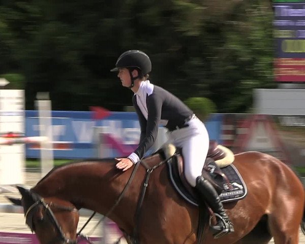 Reitturnier Vlotho-Exter 2023
