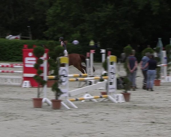 Reitturnier Vlotho-Exter 2023
