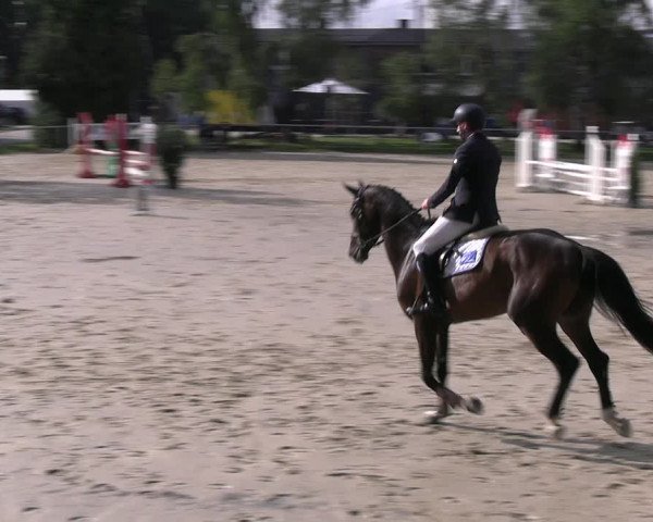 Reitturnier Herbern 2023