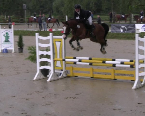 Reitturnier Herbern 2023