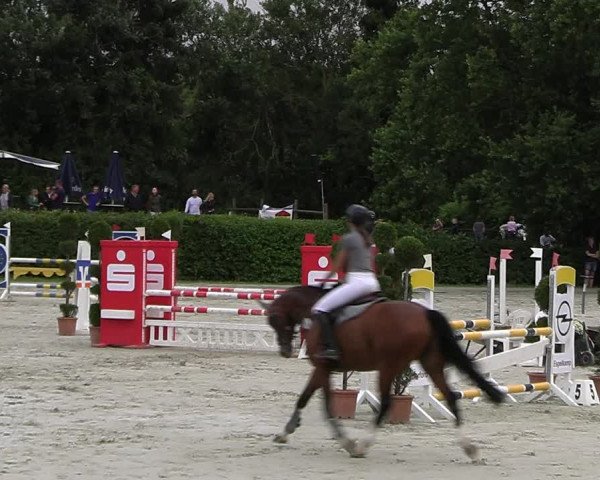 Reitturnier Vlotho-Exter 2023