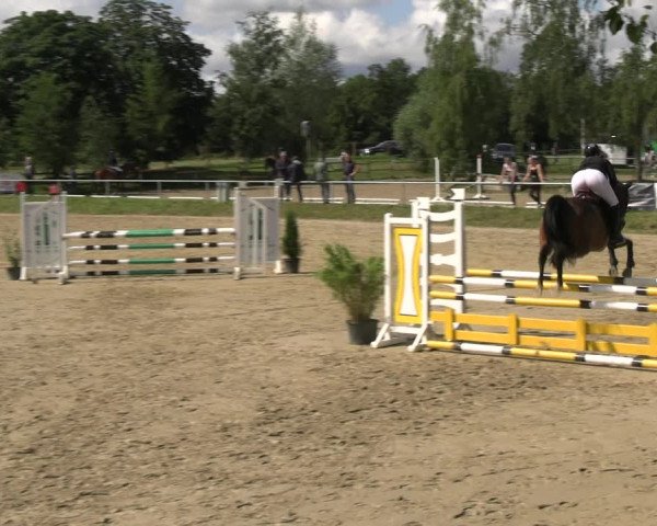 Reitturnier Herbern 2023