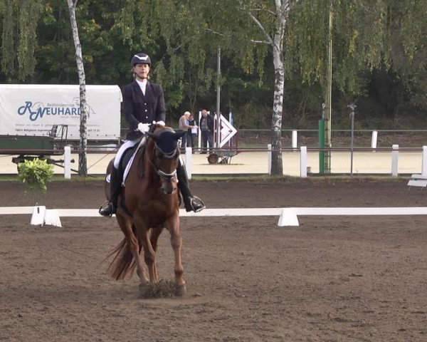 Reitturnier Forst 2021