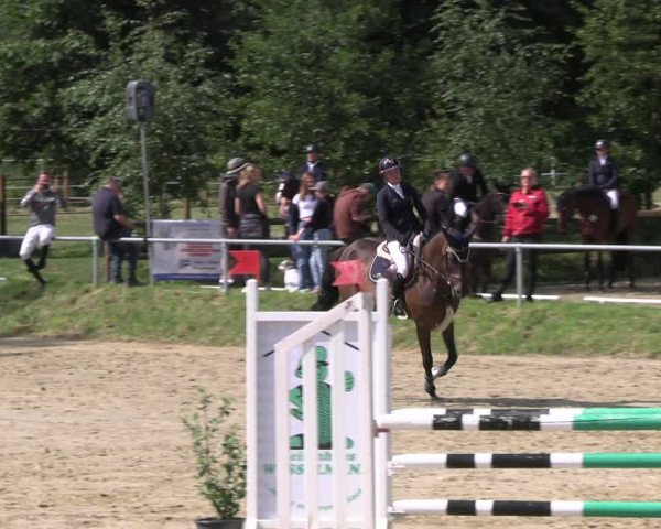 Reitturnier Herbern 2023