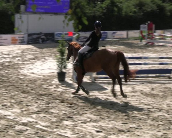 Reitturnier Herbern 2023