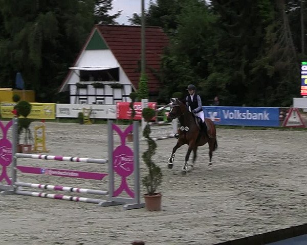 Reitturnier Vlotho-Exter 2023
