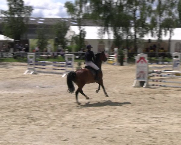 Reitturnier Herbern 2023