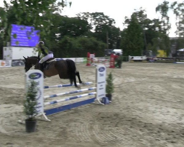 Reitturnier Herbern 2023