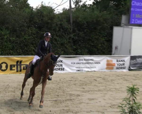 Reitturnier Herbern 2023