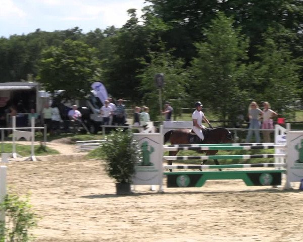 Reitturnier Herbern 2023