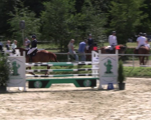 Reitturnier Herbern 2023