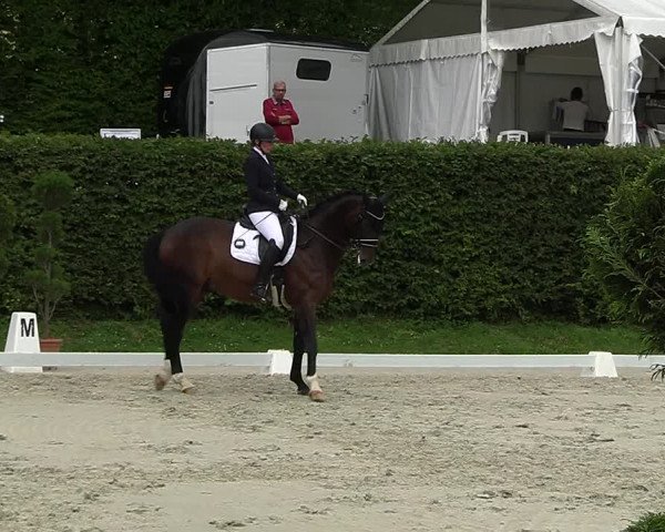 Reitturnier Vlotho-Exter 2023