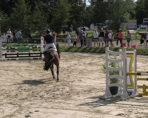 Reitturnier Herbern 2023