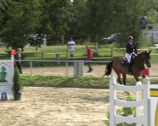 Reitturnier Herbern 2023