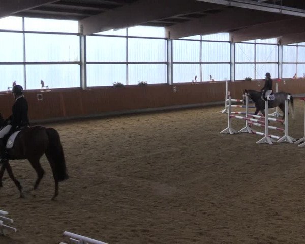 Reitturnier Herbern 2023