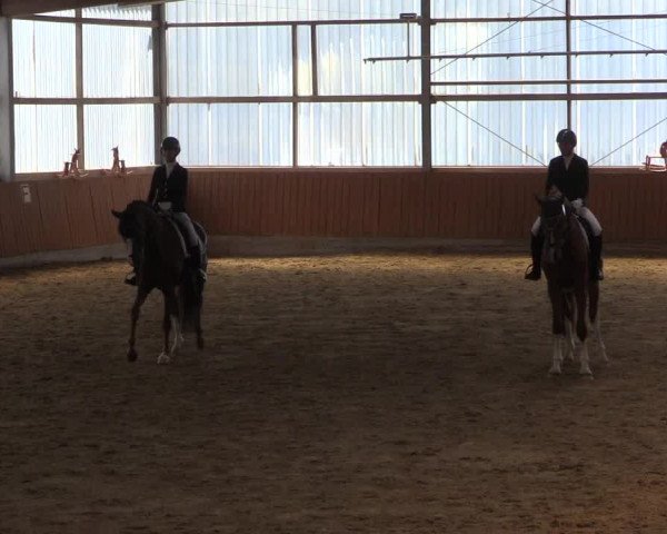 Reitturnier Herbern 2023