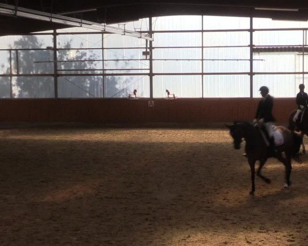 Reitturnier Herbern 2023