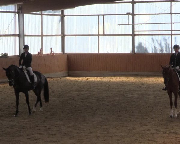 Reitturnier Herbern 2023