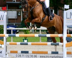 jumper Charmeur 407 (Holsteiner, 2006, from Calido I)
