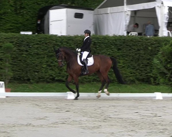 Reitturnier Vlotho-Exter 2023