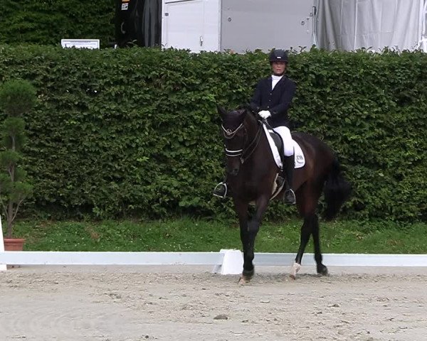 Reitturnier Vlotho-Exter 2023