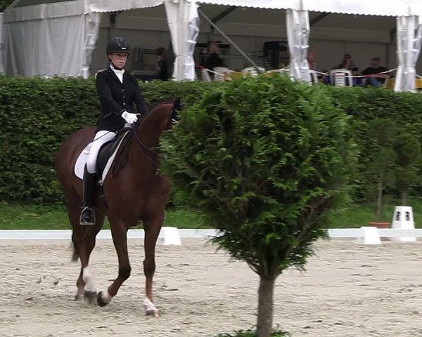 Reitturnier Vlotho-Exter 2023