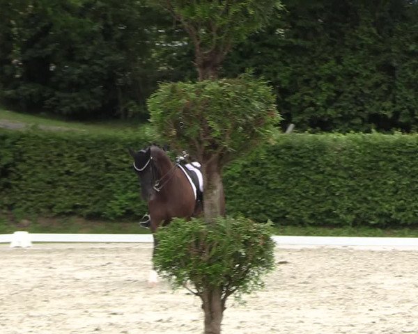 Reitturnier Vlotho-Exter 2023