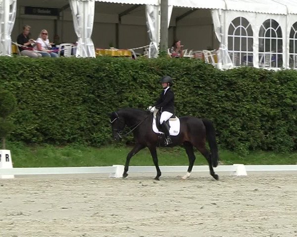 Reitturnier Vlotho-Exter 2023