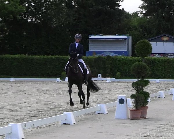 Reitturnier Vlotho-Exter 2023