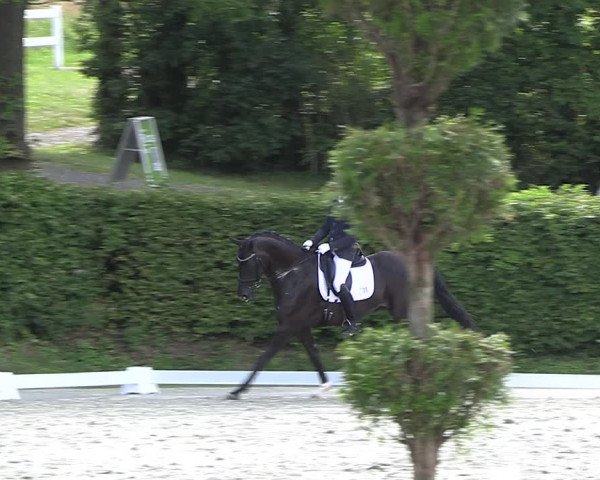 Reitturnier Vlotho-Exter 2023