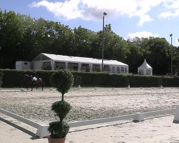 Reitturnier Vlotho-Exter 2023