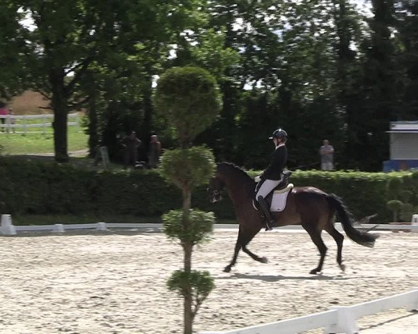 Reitturnier Vlotho-Exter 2023