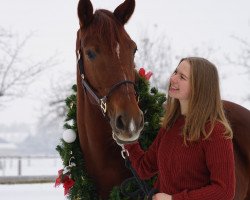 broodmare Diva Dream FH (Rhinelander, 2016, from Glock's Dream Boy)