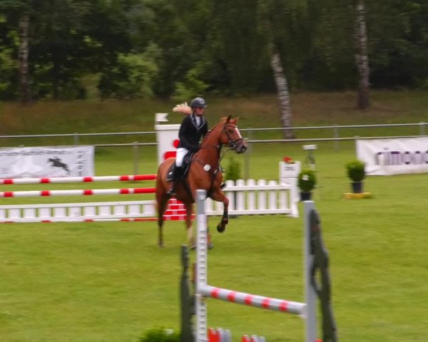 Reitturnier Gardelegen 2023