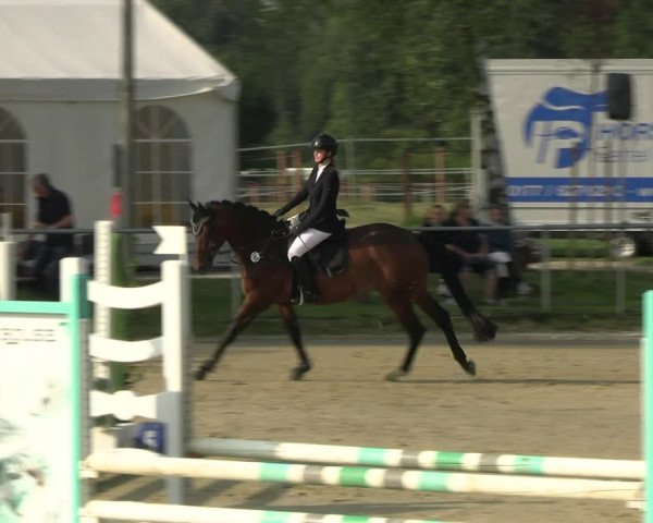 Reitturnier Herbern 2023