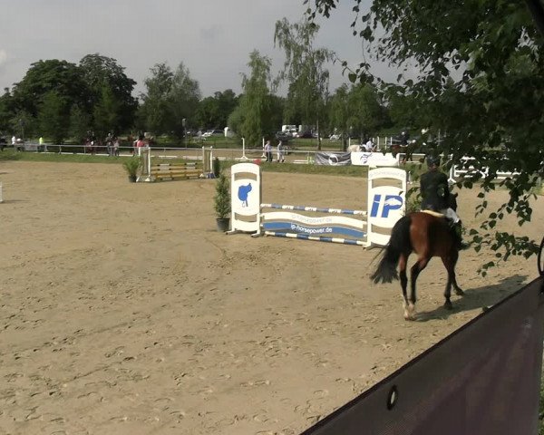 Reitturnier Herbern 2023