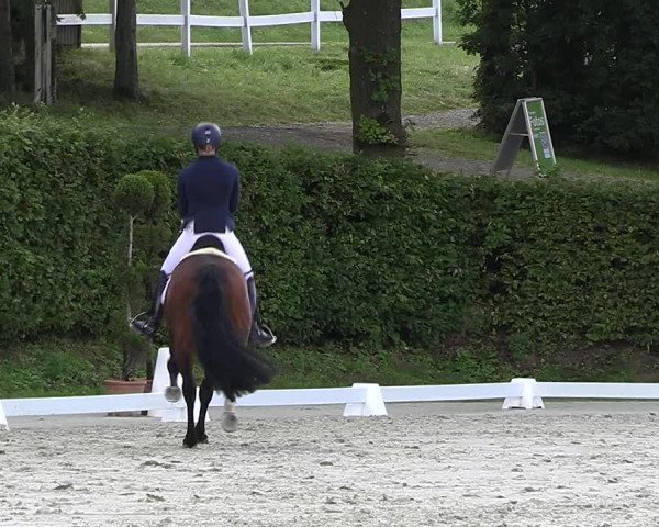 Reitturnier Vlotho-Exter 2023
