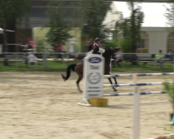 Reitturnier Herbern 2023