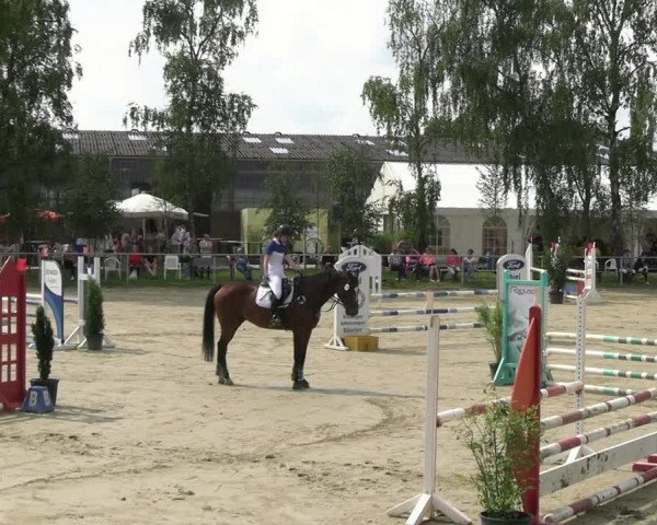 Reitturnier Herbern 2023