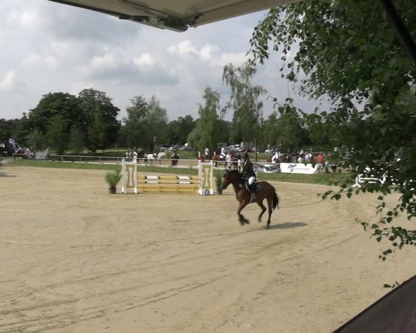 Reitturnier Herbern 2023