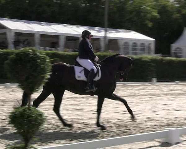 Reitturnier Vlotho-Exter 2023