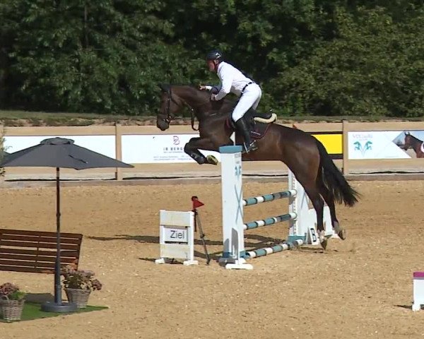 Reitturnier Tiefenhof/Opf. 2023
