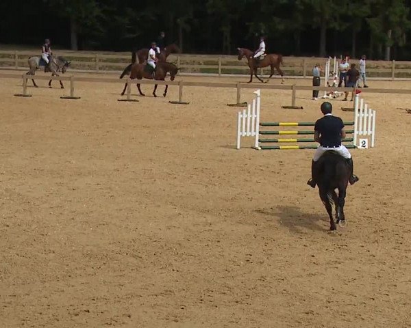 Reitturnier Tiefenhof/Opf. 2023