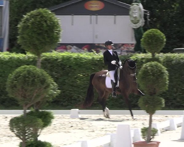 Reitturnier Vlotho-Exter 2023